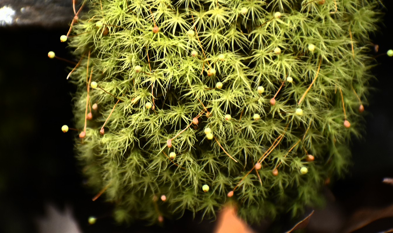 2017-07-05 23.43.37.jpg