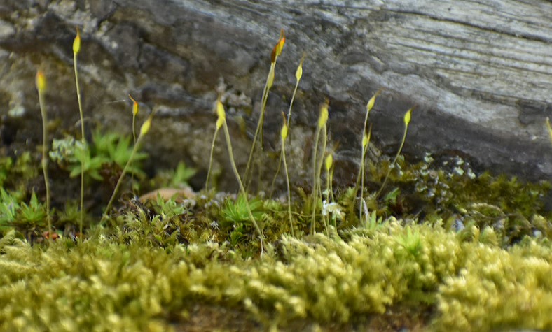 2017-04-09 10.53.01.jpg