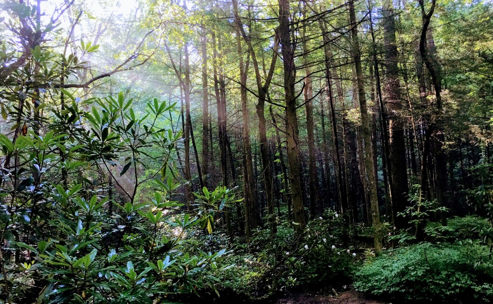 IMG_8631 - Edited.jpg