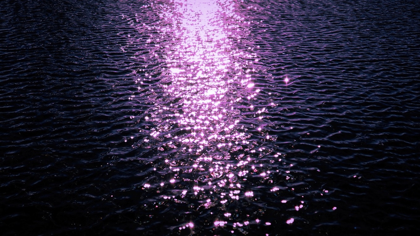 DSC05734 - Copy-X-X.jpg