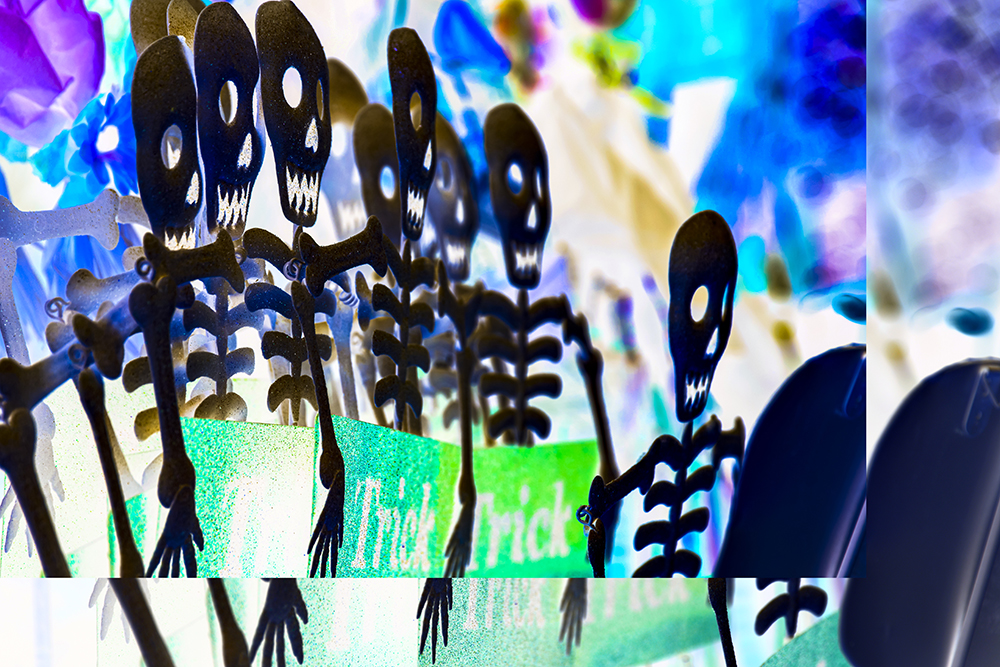 _DSC6483_9238 copy.jpg