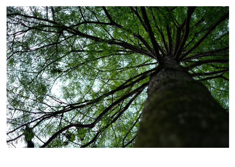 2017-05-19 09.44.58.jpg