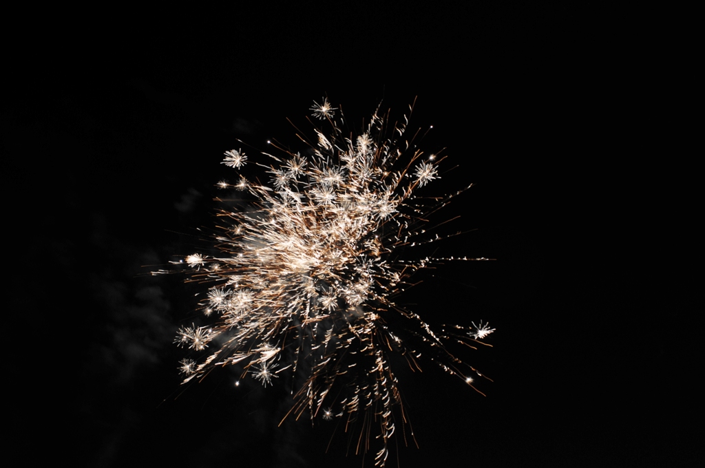 USC_0082-1.jpg : 불꽃놀이