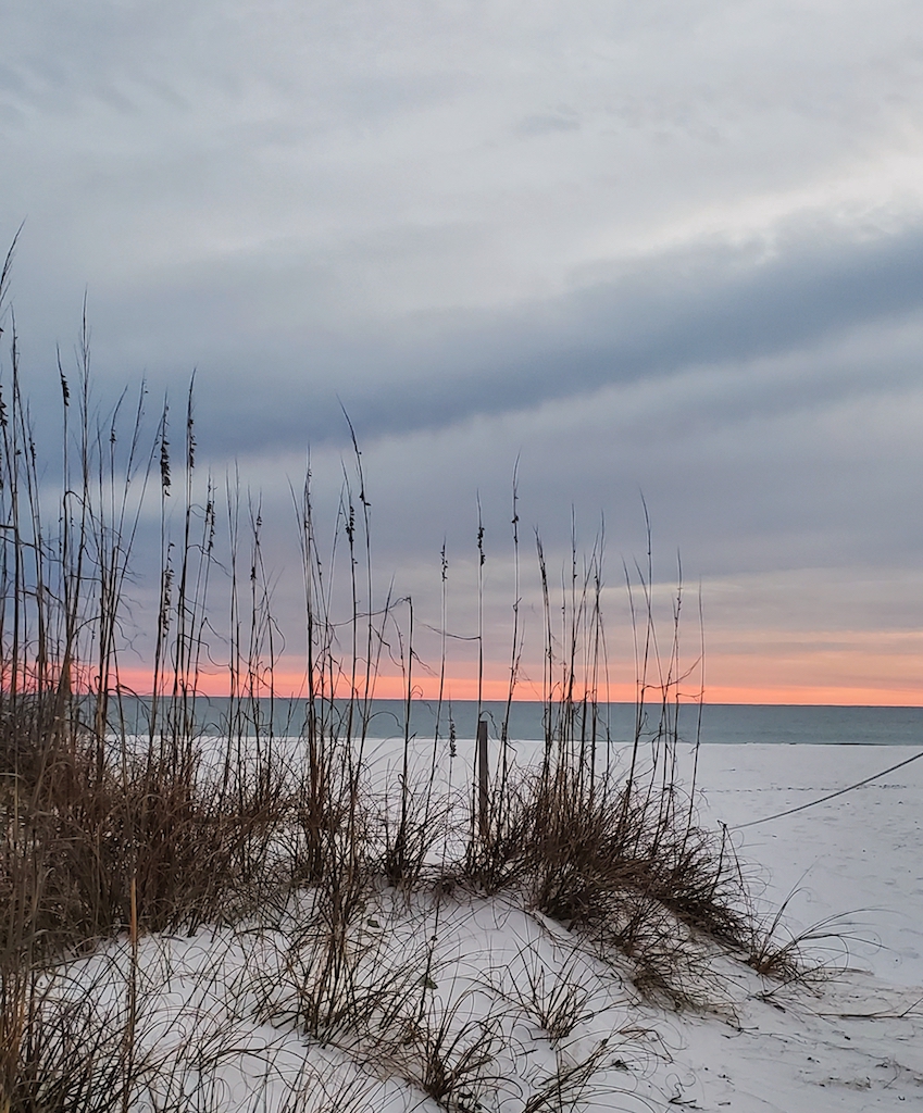 20200122_171954 (1).jpg