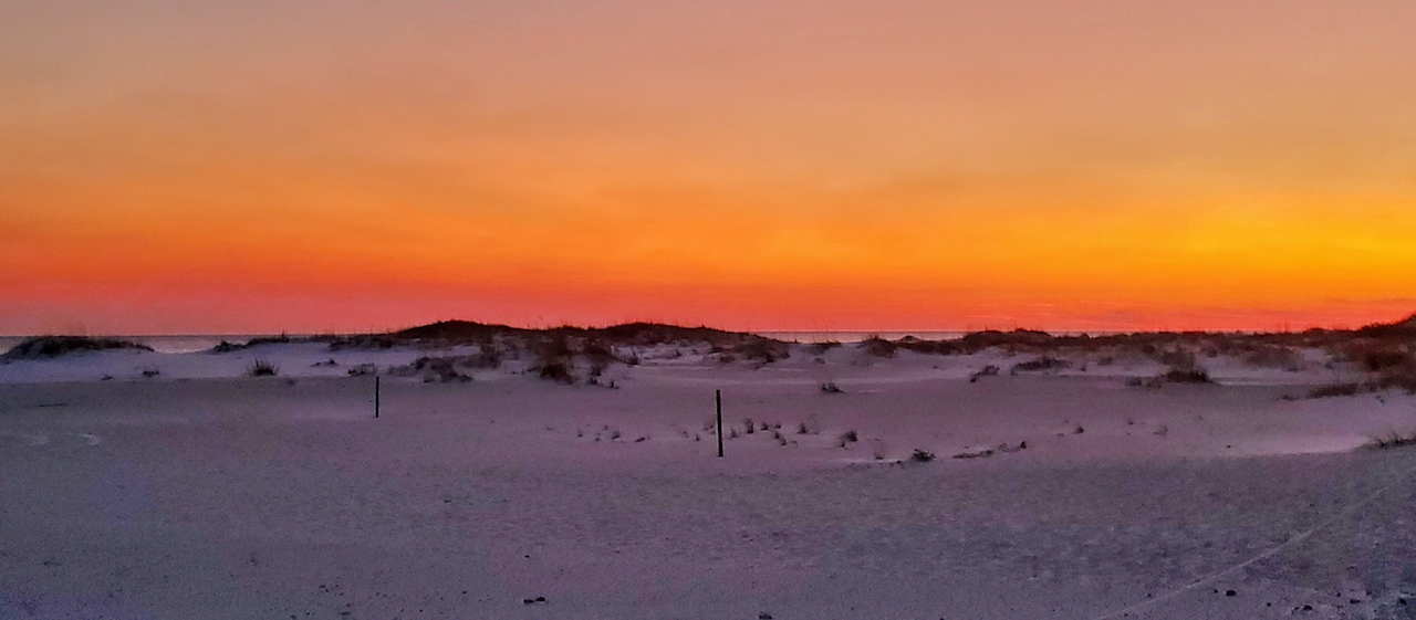 20200121_173646 (1).jpg