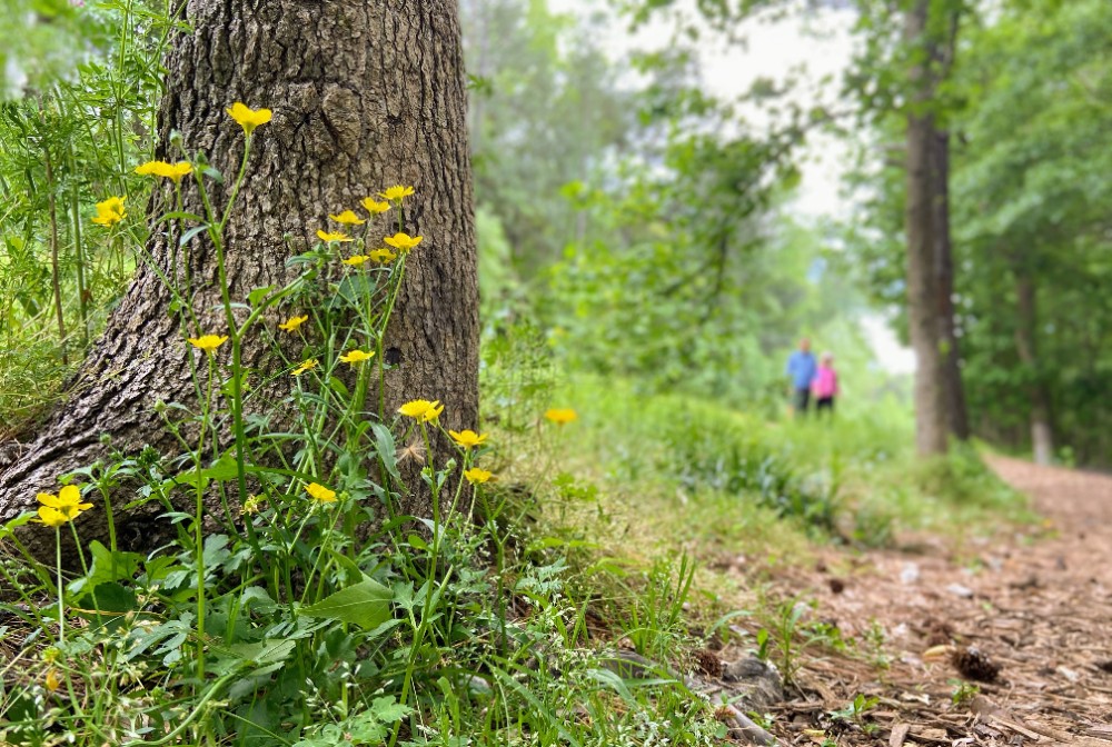 Adjustments Copy.JPG