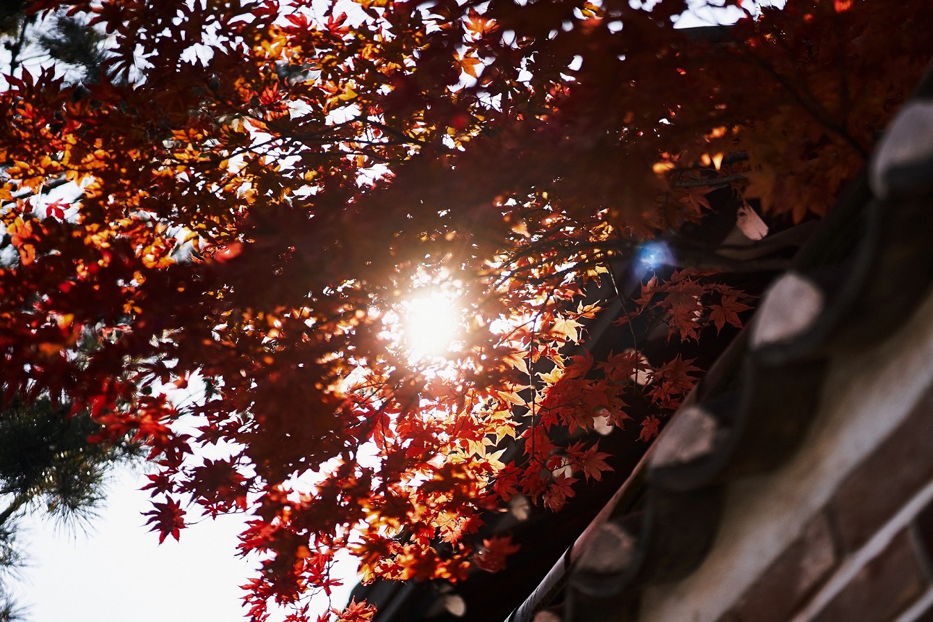 MHY06610-Exposure - Copy.jpg