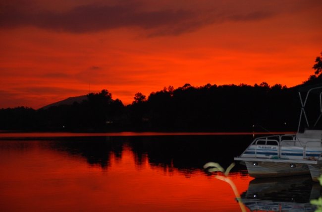 DSC_5217 (650x427).jpg