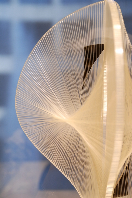 LinedSpace (435x650).jpg