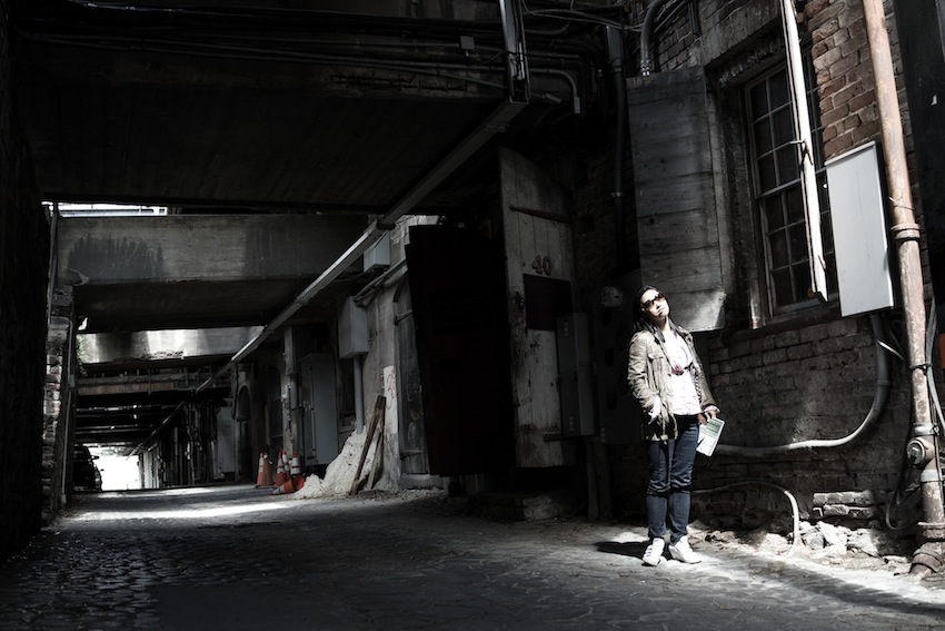 DSC00249.jpg : 사바나