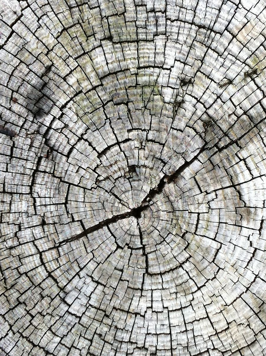 1-40-28.jpg : 한시 사십분 이십팔초