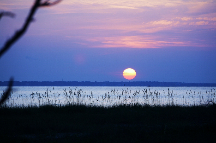 ssss 162(900x599).jpg