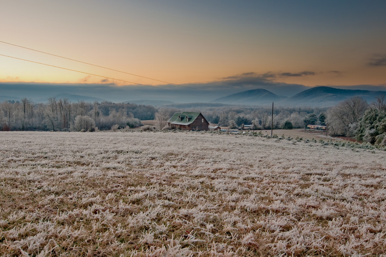 field farm morning.jpg