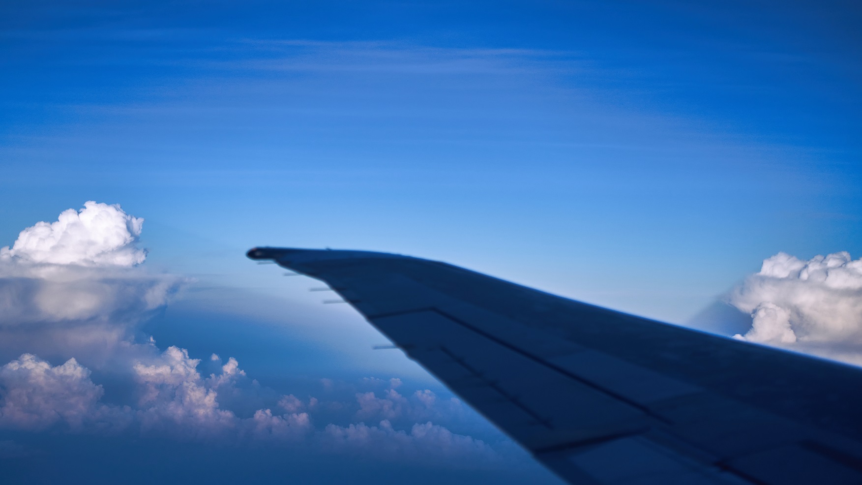 DSC01057-X - Copy.jpg