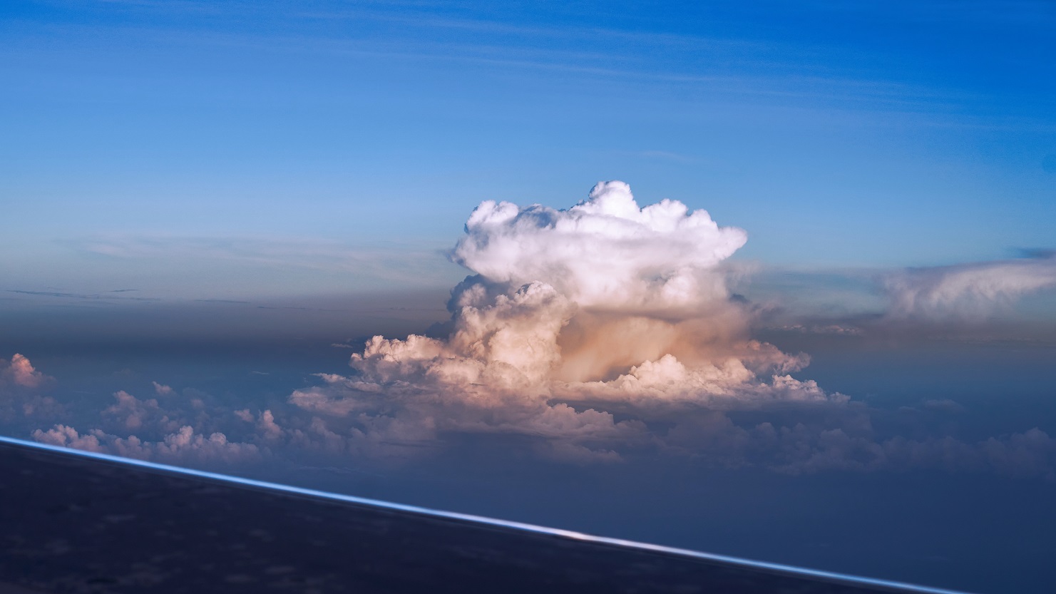 DSC01047-X - Copy.jpg