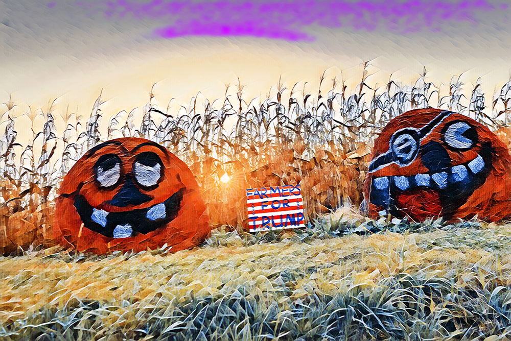 _DSC1509 copya copya.jpg