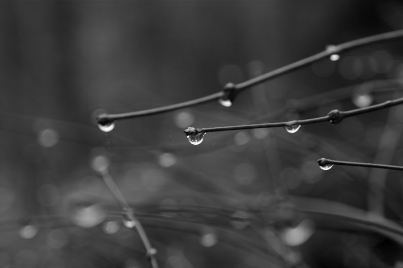 _MG_3570.jpg : 비오는 날