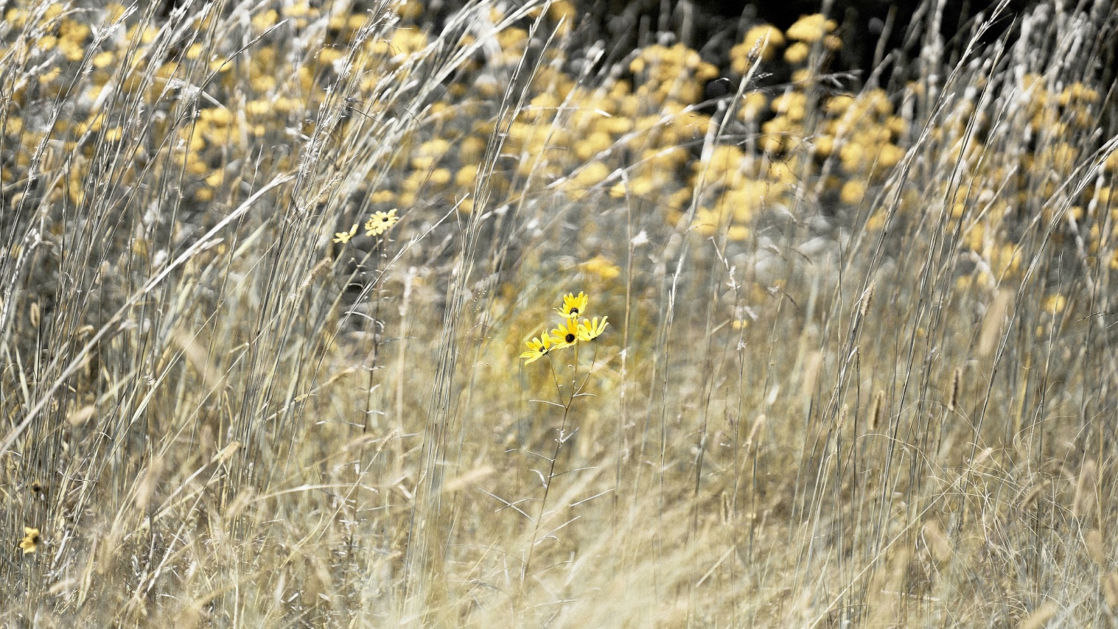 MHY02561 - Copy-X.jpg