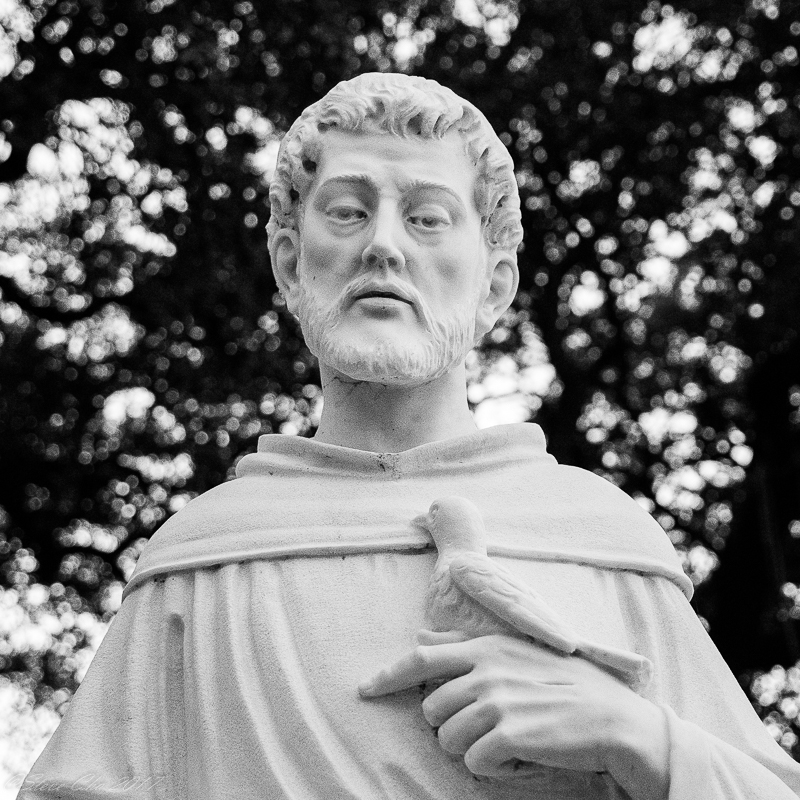 St. Francis bw.JPG