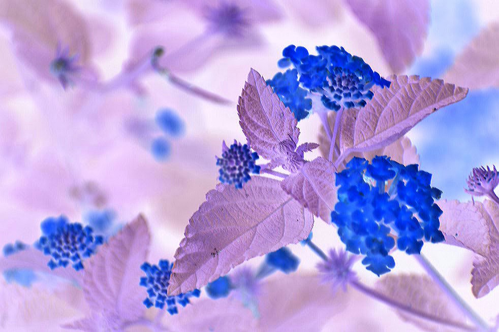 2017-06-27 19.57.35.jpg