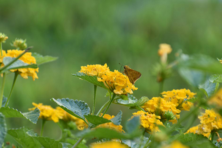 2017-06-27 19.52.58.jpg