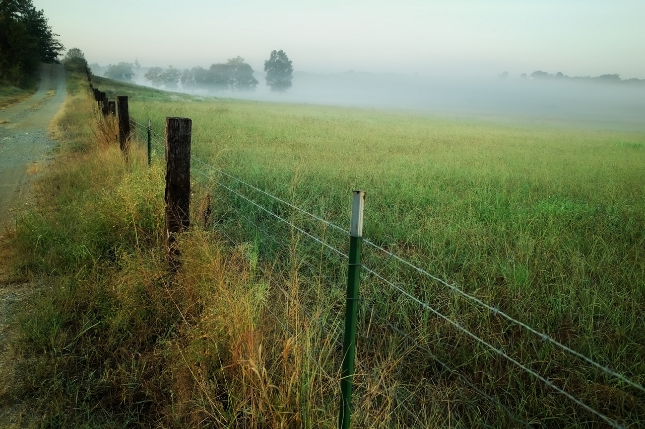 fog field.jpg