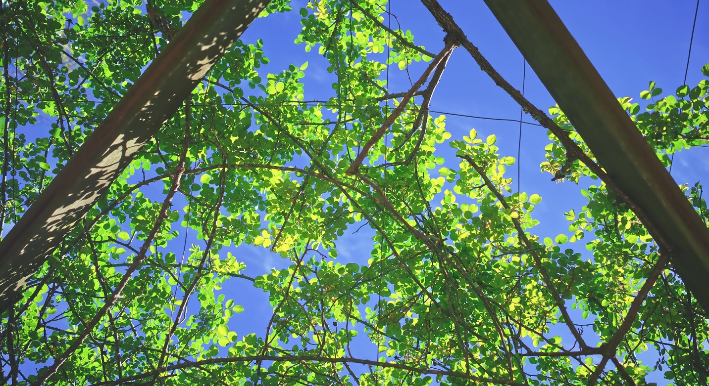 DSC08768_2-Exposure - Copy.jpg