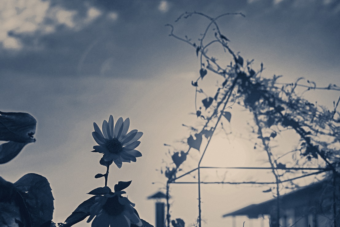 MYU02820-exp - Copy.jpg