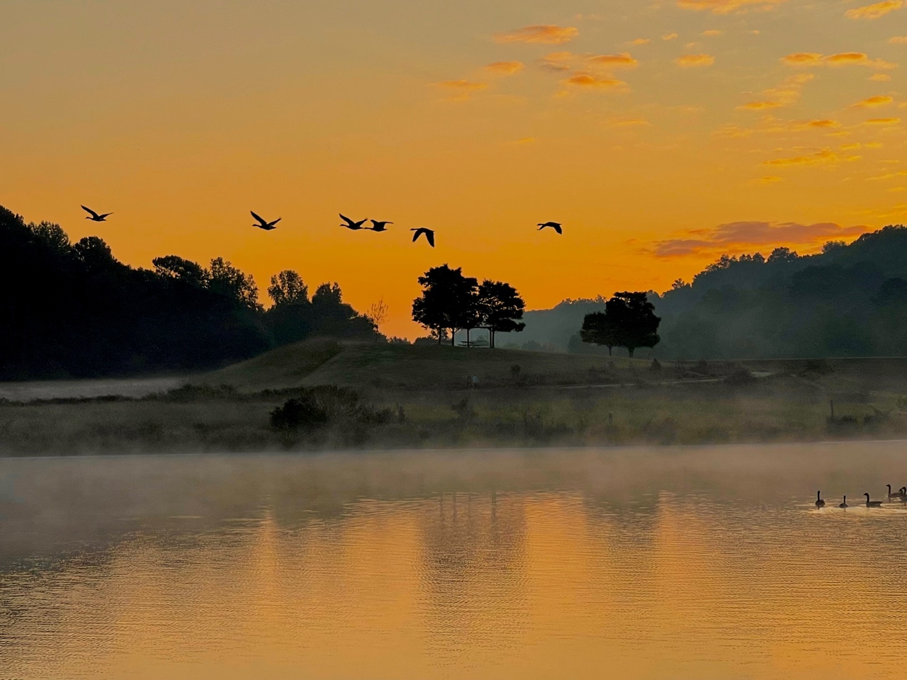 KakaoTalk_Photo_2022-09-19-12-25-17 002.jpeg