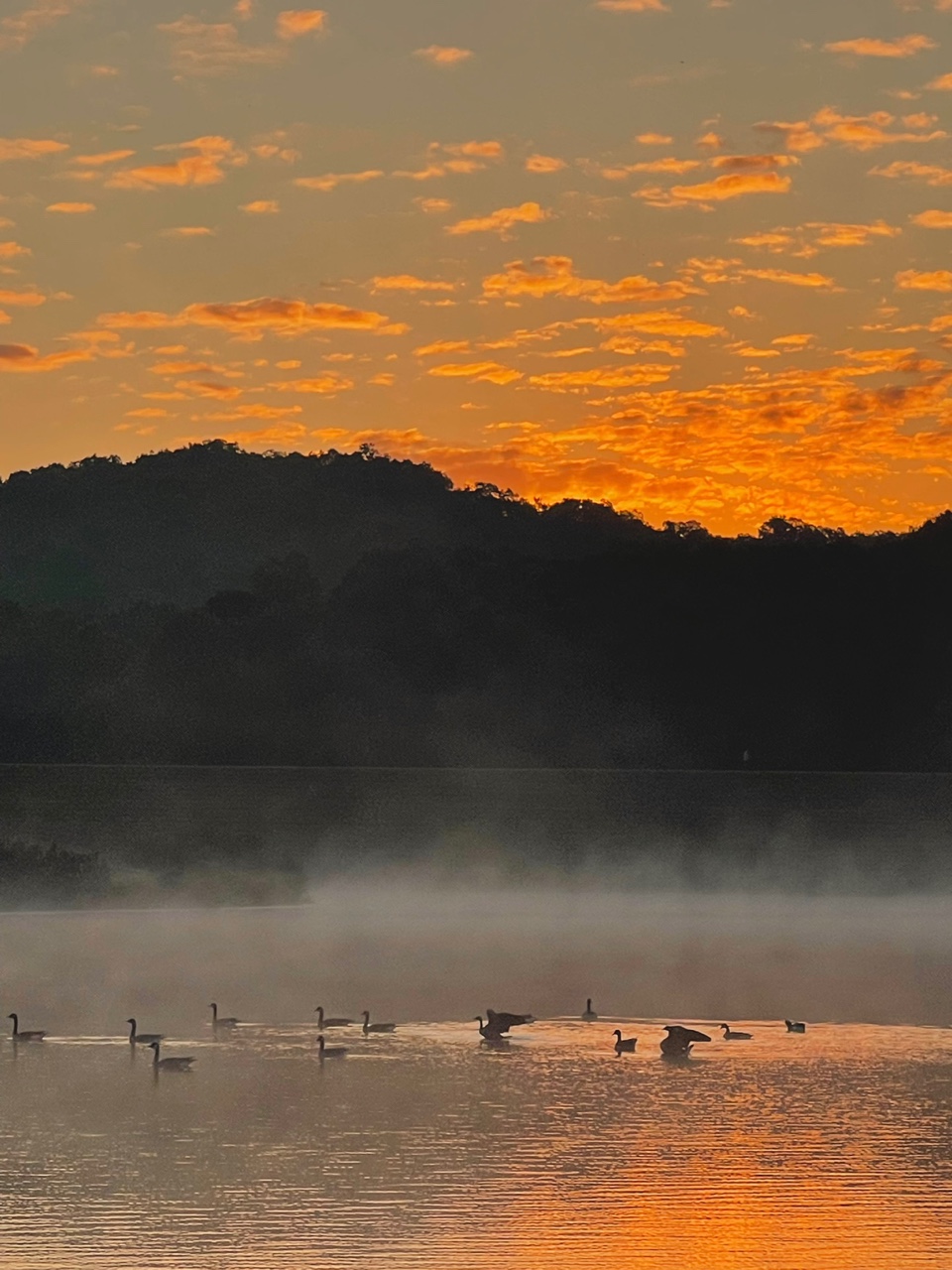 KakaoTalk_Photo_2022-09-19-12-25-20 004.jpeg