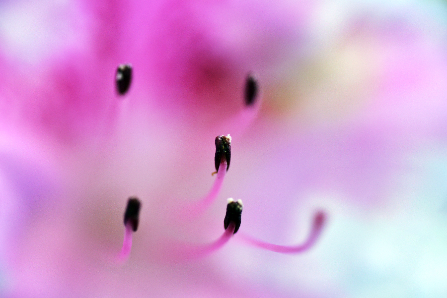 _DSC5662 copy (2) copy.jpg