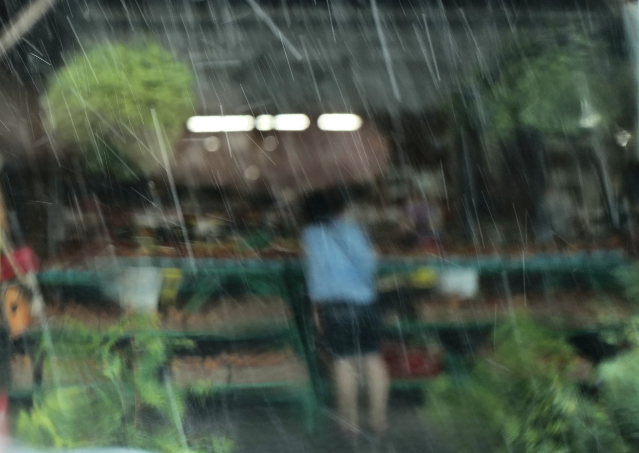 rain.jpg