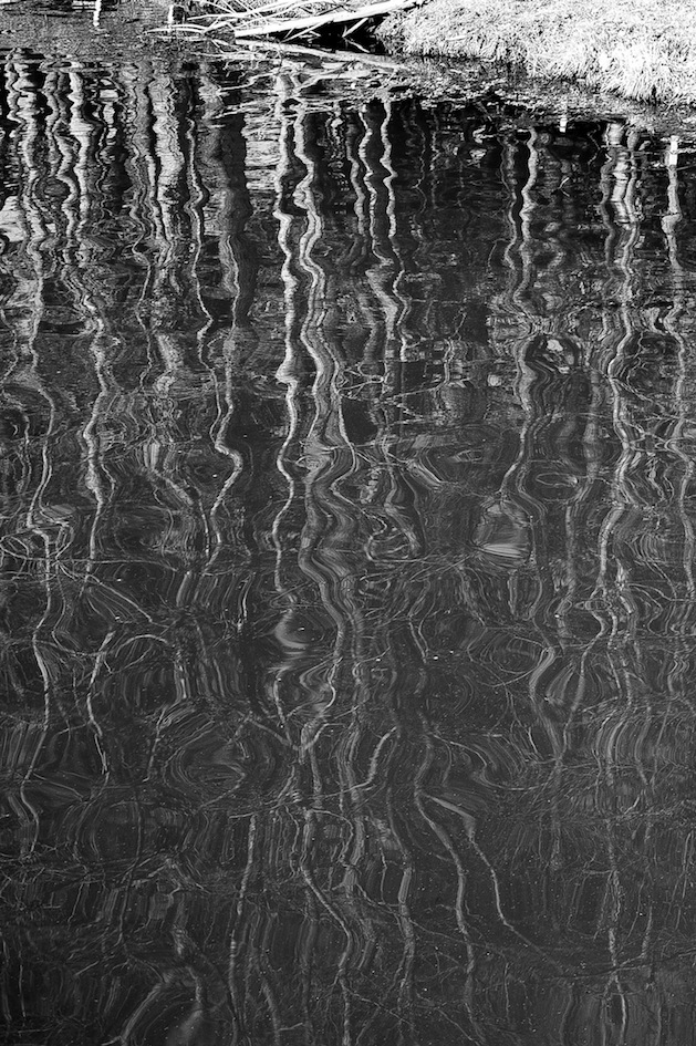 PMY_1956 복사본.jpg : 반영