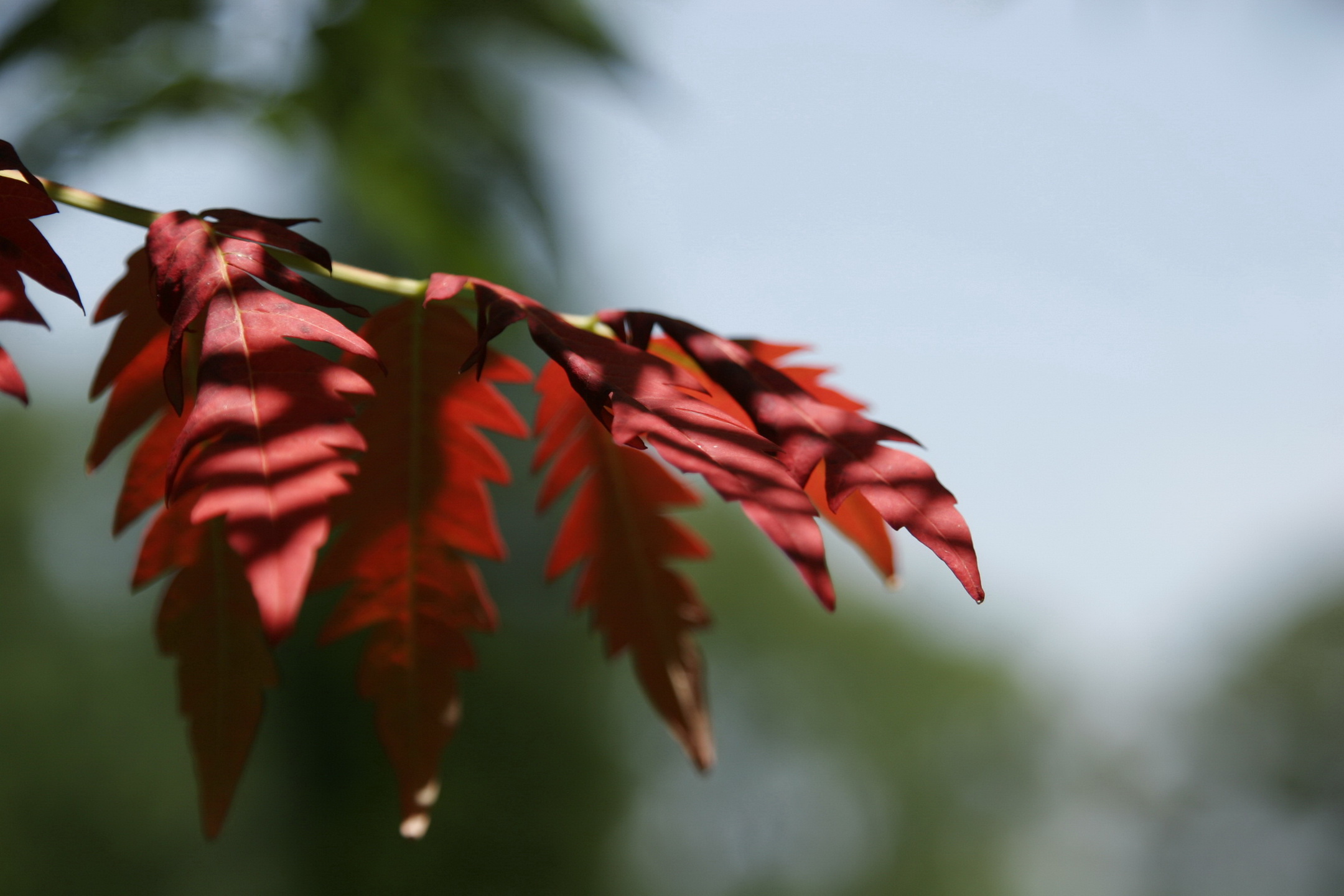 _MG_1398.JPG : 여유