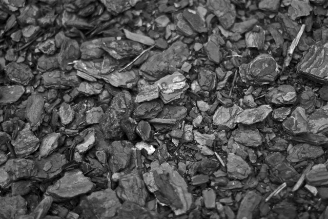 _MG_3837.jpg : 점사 테스트 _MG_3837.jpg : 점사 테스트