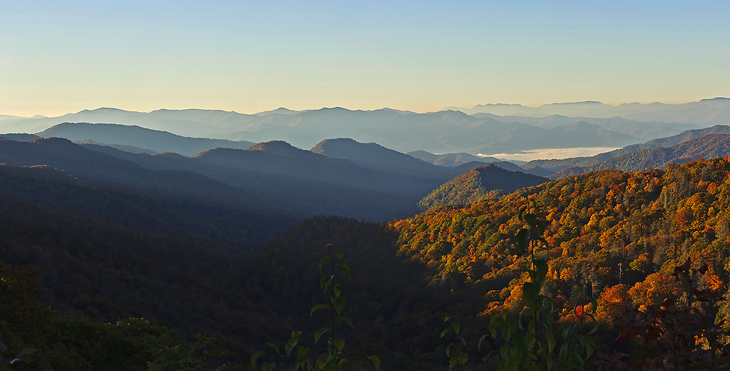 _DSC5554-1 copy copy.jpg