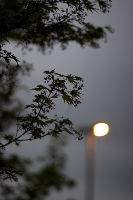 _MG_3844.jpg : .4 Test