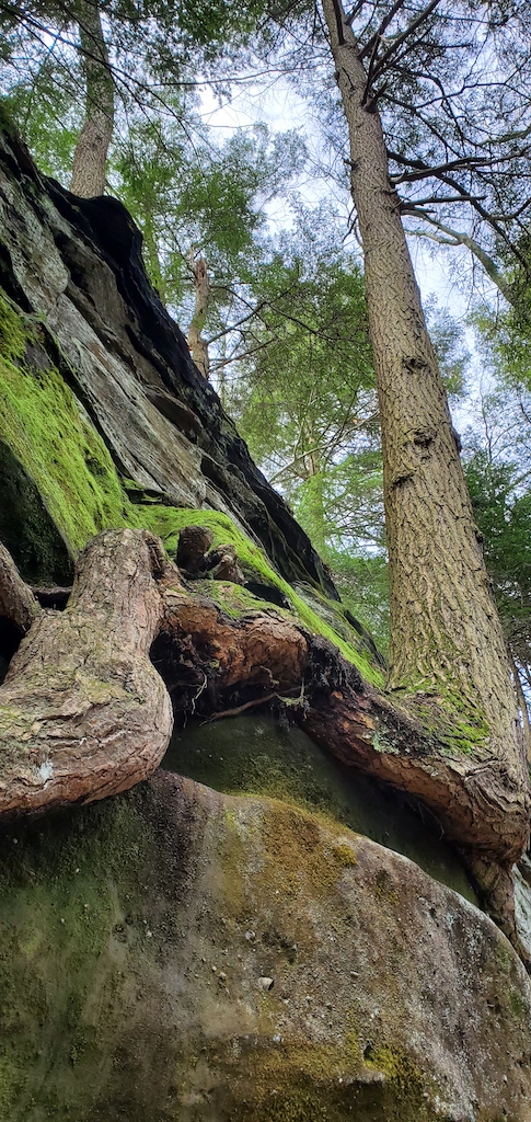 20200401_143655 copy.jpg