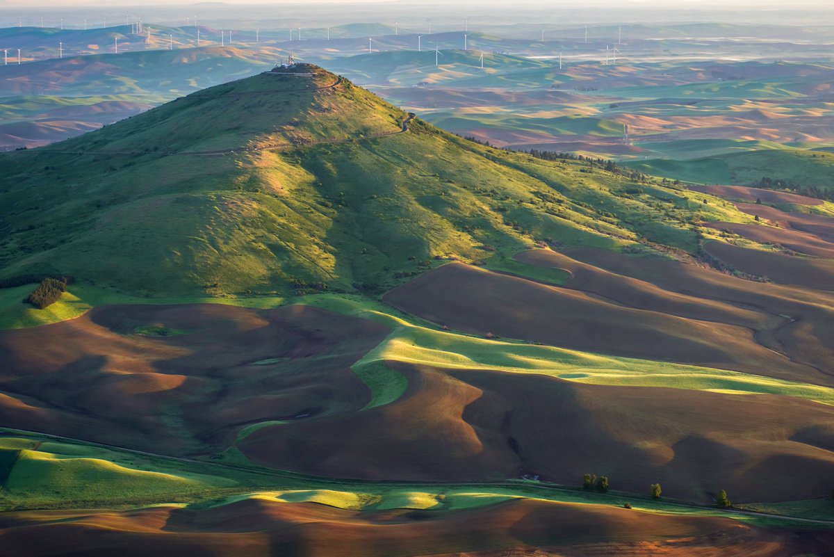 Steptoe Butte SP Dd0f2fyV0AUj3gw.jpg