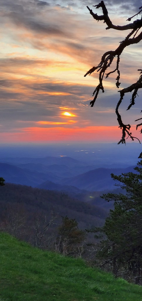 20200405_072544 copy.jpg