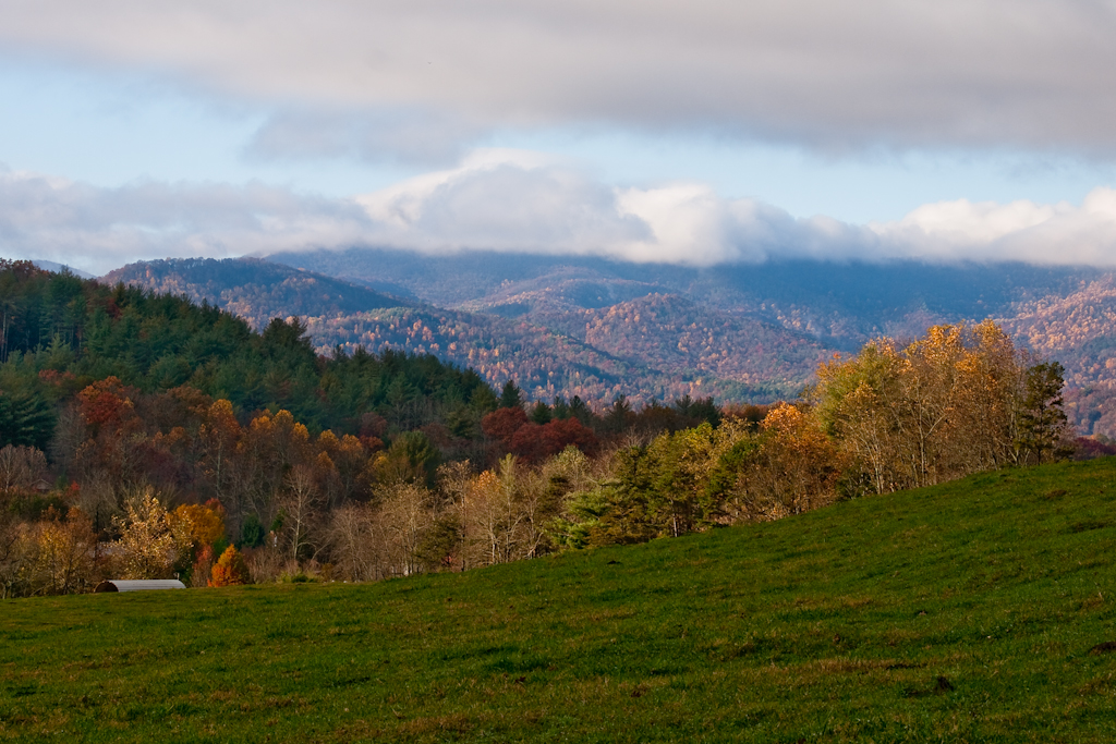 fall in north georgia.jpg