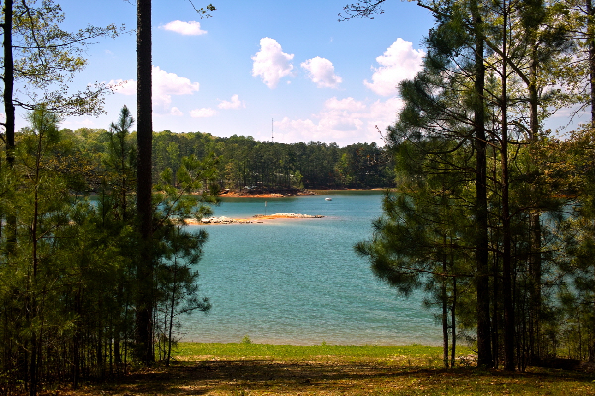 Resized_Resized_SDIM3170.jpg : SIGMA DP2X의 색감!