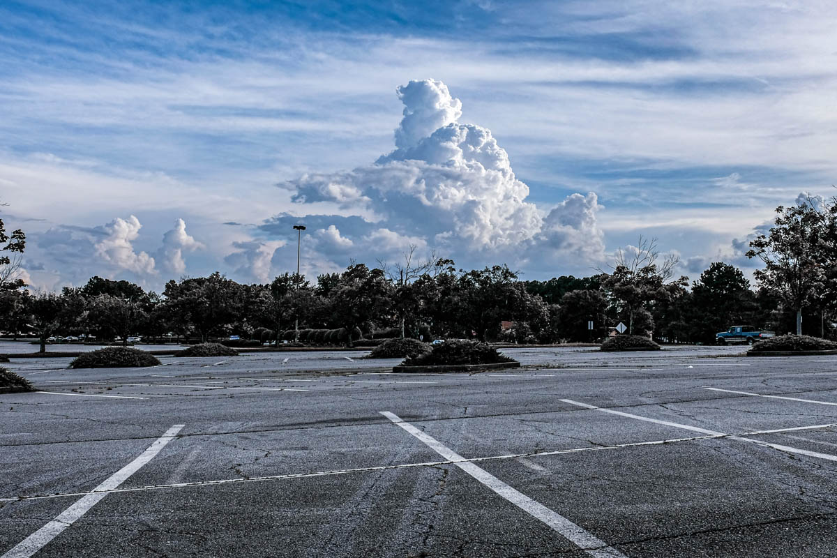 monocrom - dragon rising.JPG