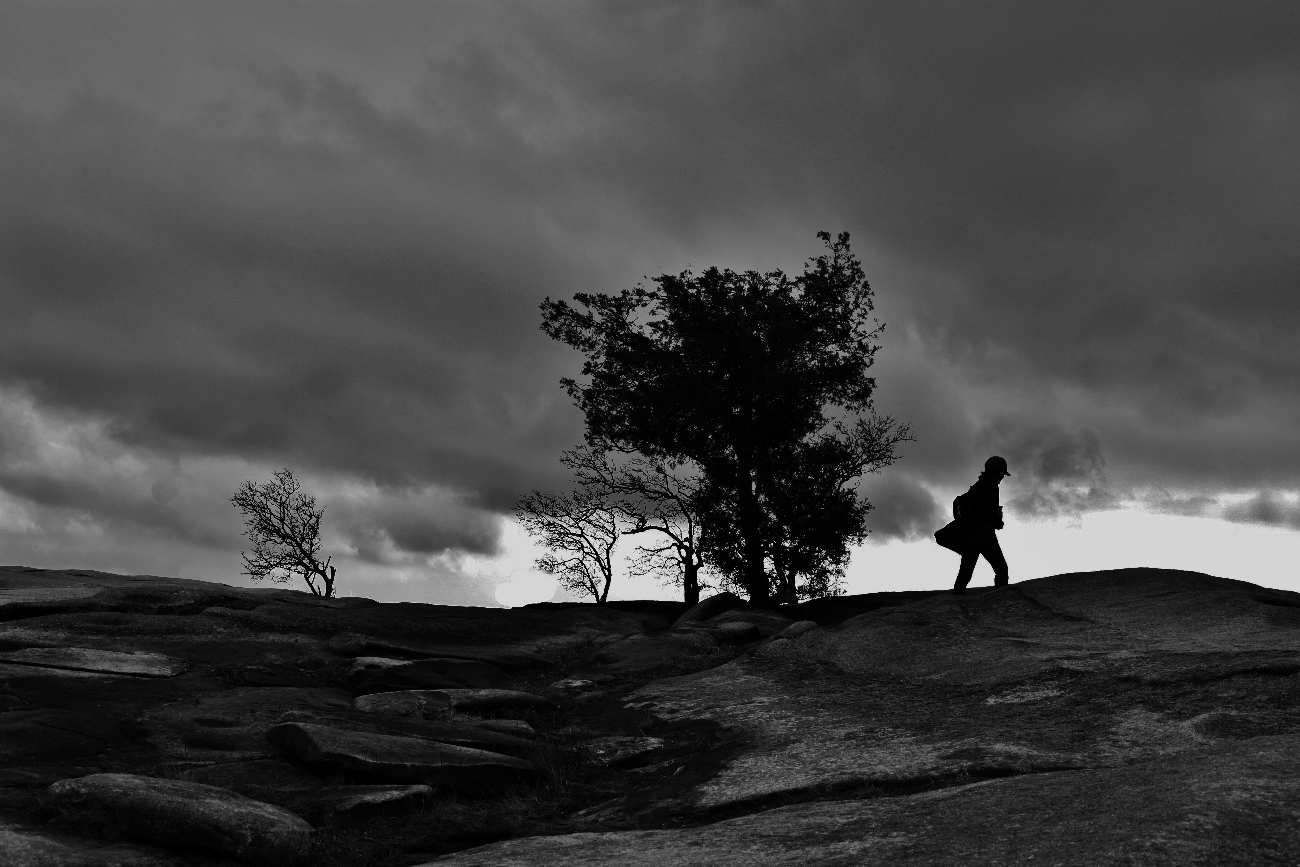 IMG_8421 (2)(1300x867).jpg