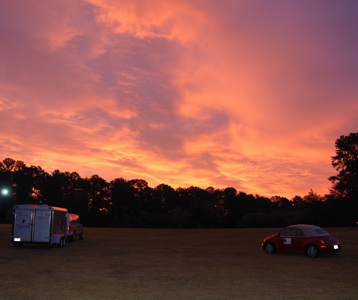 DSC_5401 (730x611) (730x611).jpg