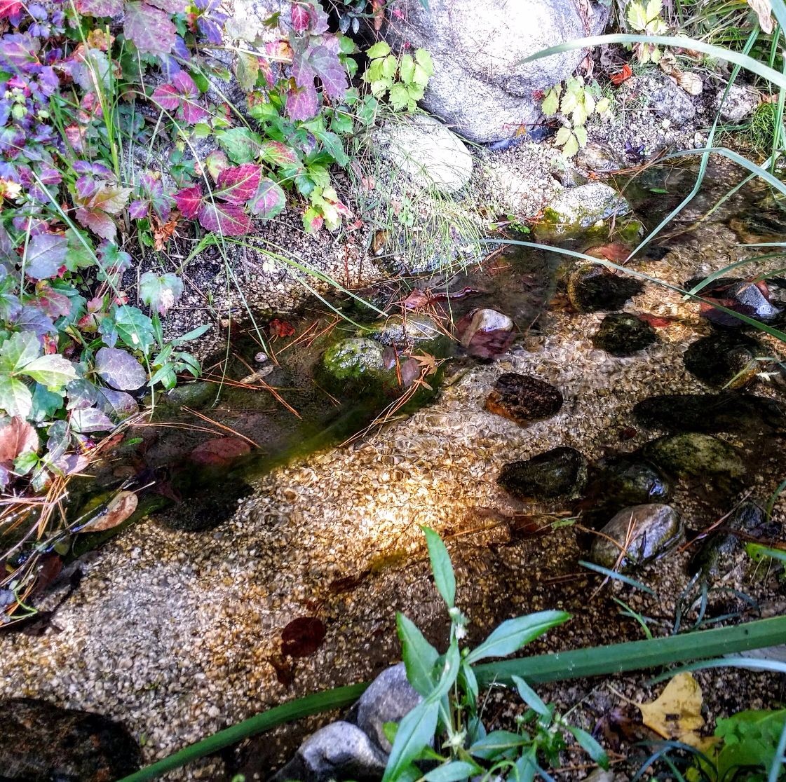 20151012_115246-1 (2) (1).jpg