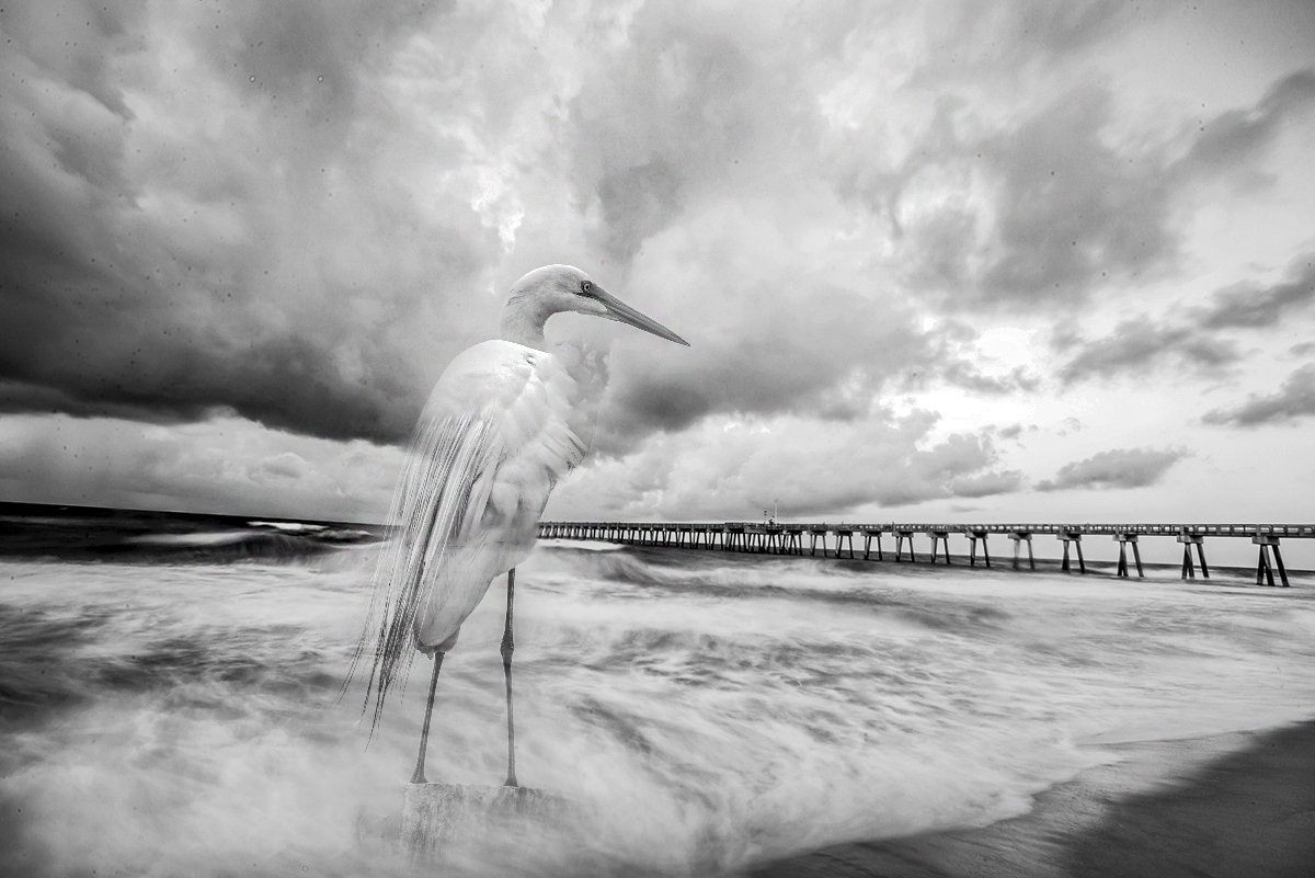 6-11-14  p. c - Copy.jpg