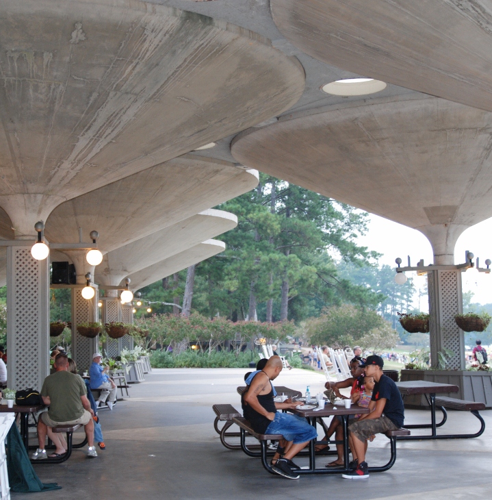 DSC_5441 (3) (719x730).jpg