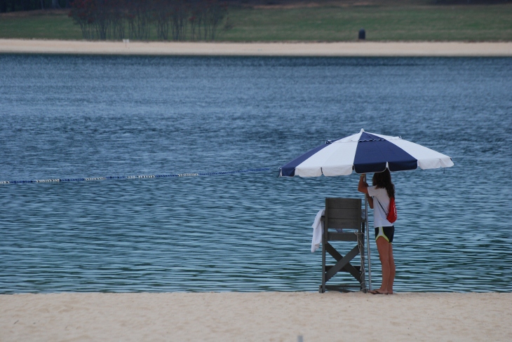 DSC_5499 (2) (730x488).jpg