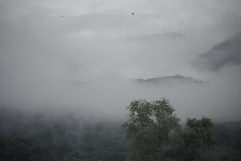 P1050185.jpg : 시골 풍경